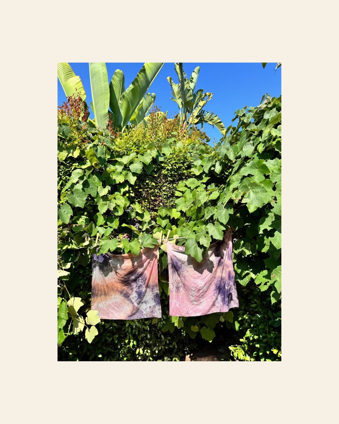 Bandana Lab: Natural Tie-Dye Workshop | Sunday August 24, 4:00 PM