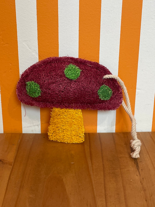 Natural Sponge | Mushroom