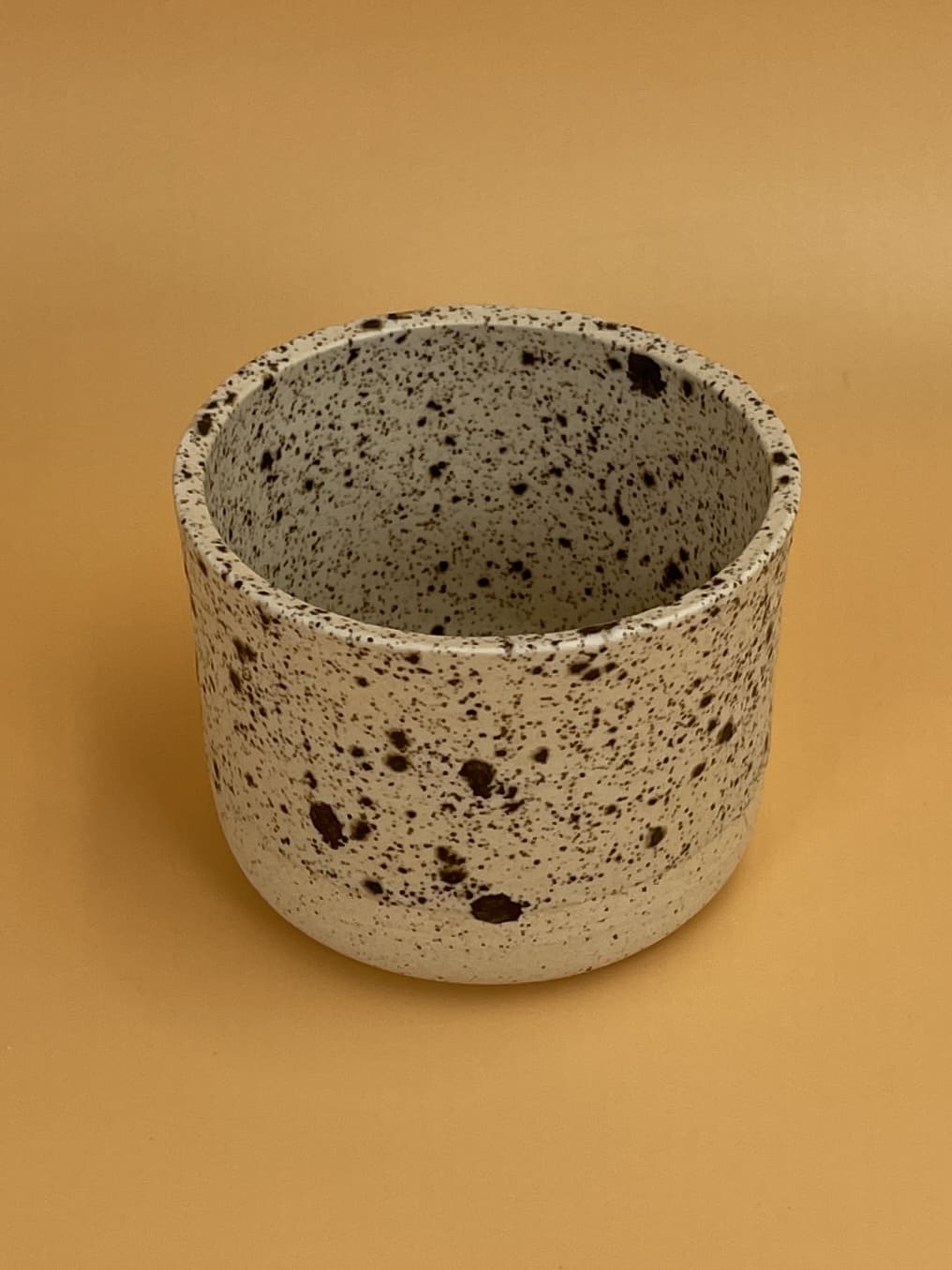 Art Schoool Dropout Small Bowl | Speckled