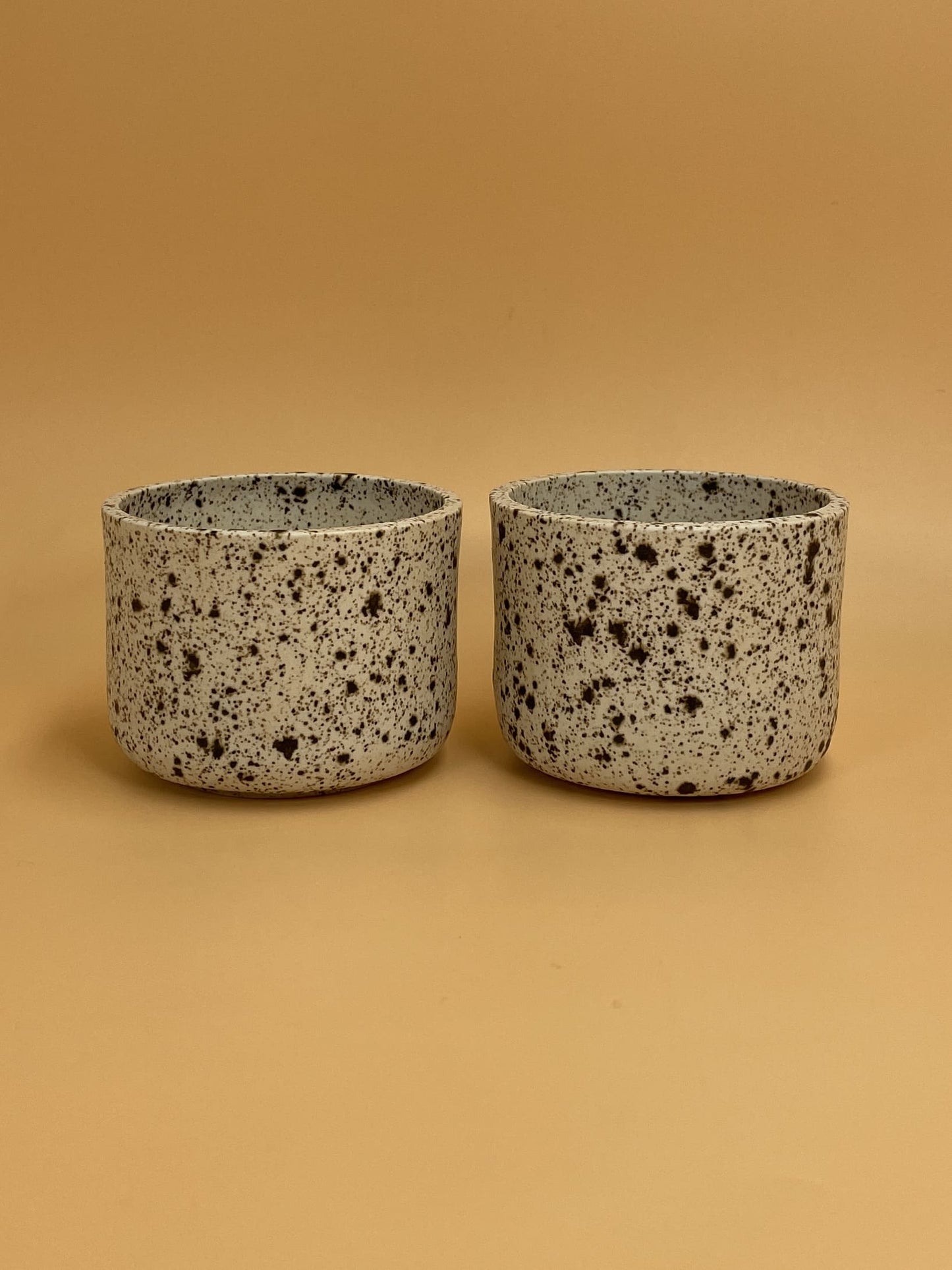 Art Schoool Dropout Small Bowl | Speckled
