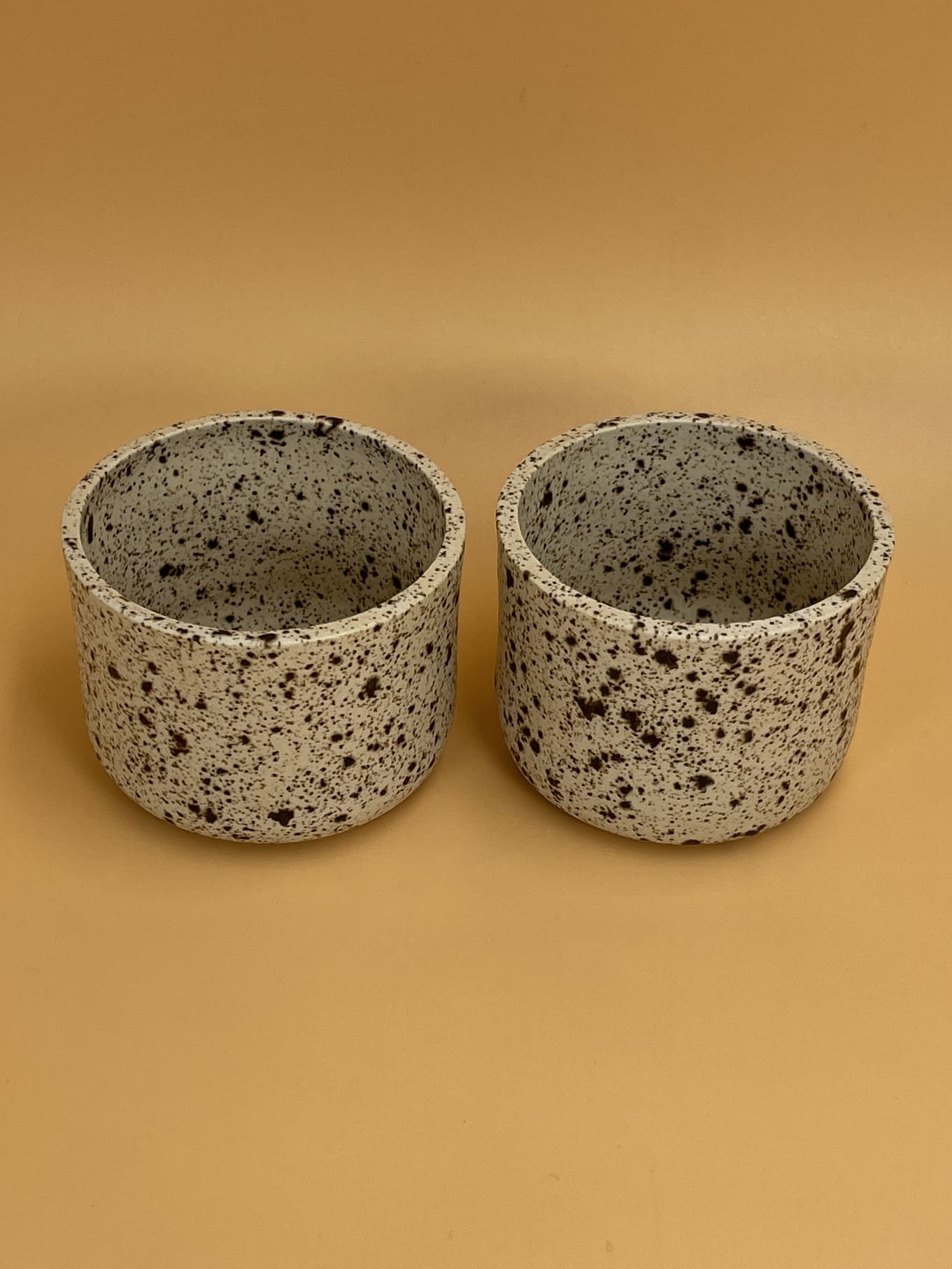 Art Schoool Dropout Small Bowl | Speckled
