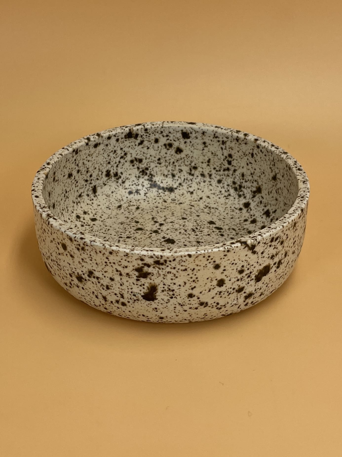 Art Schoool Dropout Small Shallow Bowl | Speckled