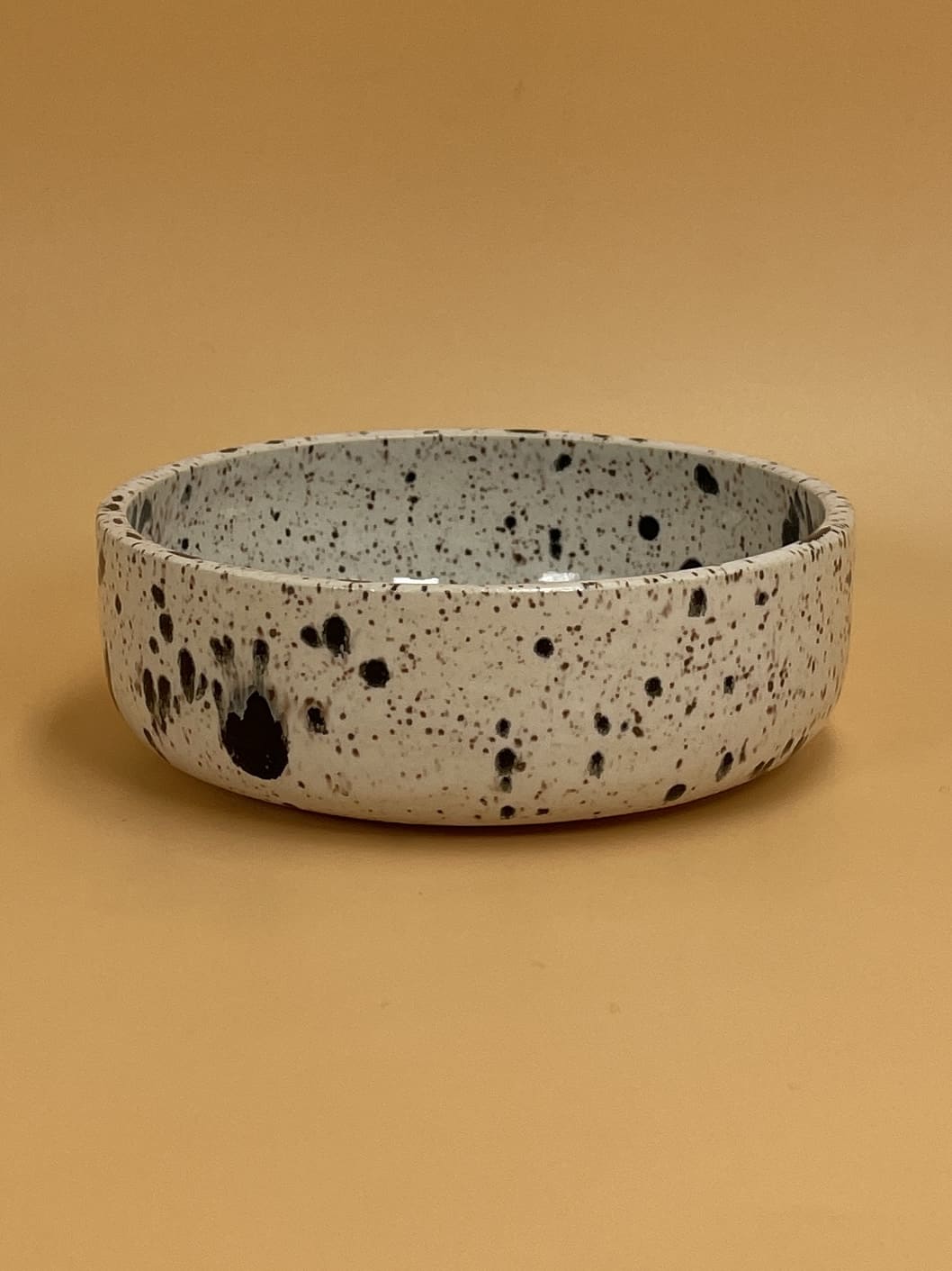 Art Schoool Dropout Small Shallow Bowl | Cookies & Cream