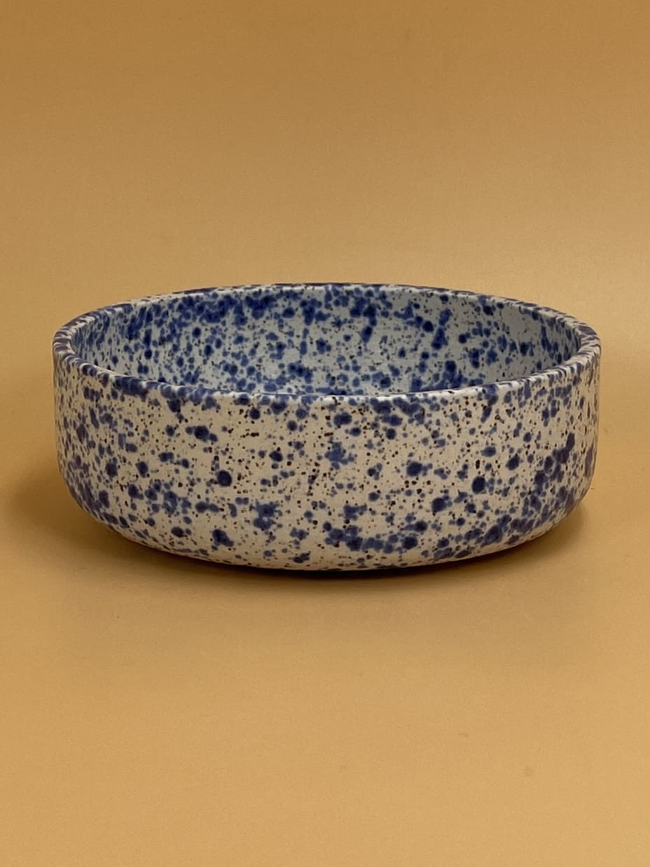 Art Schoool Dropout Small Shallow Bowl | Speckled Blue