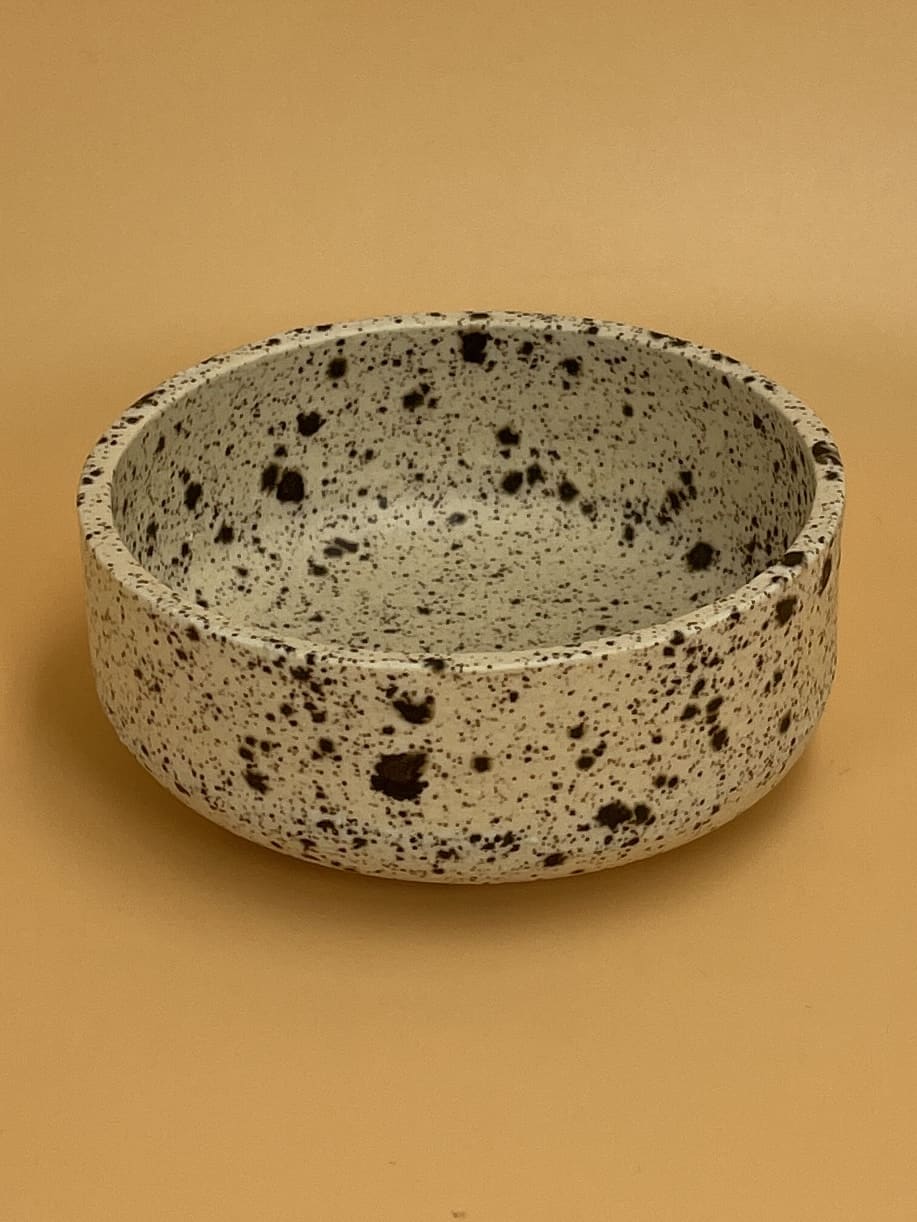 Art Schoool Dropout Small Shallow Bowl | Speckled