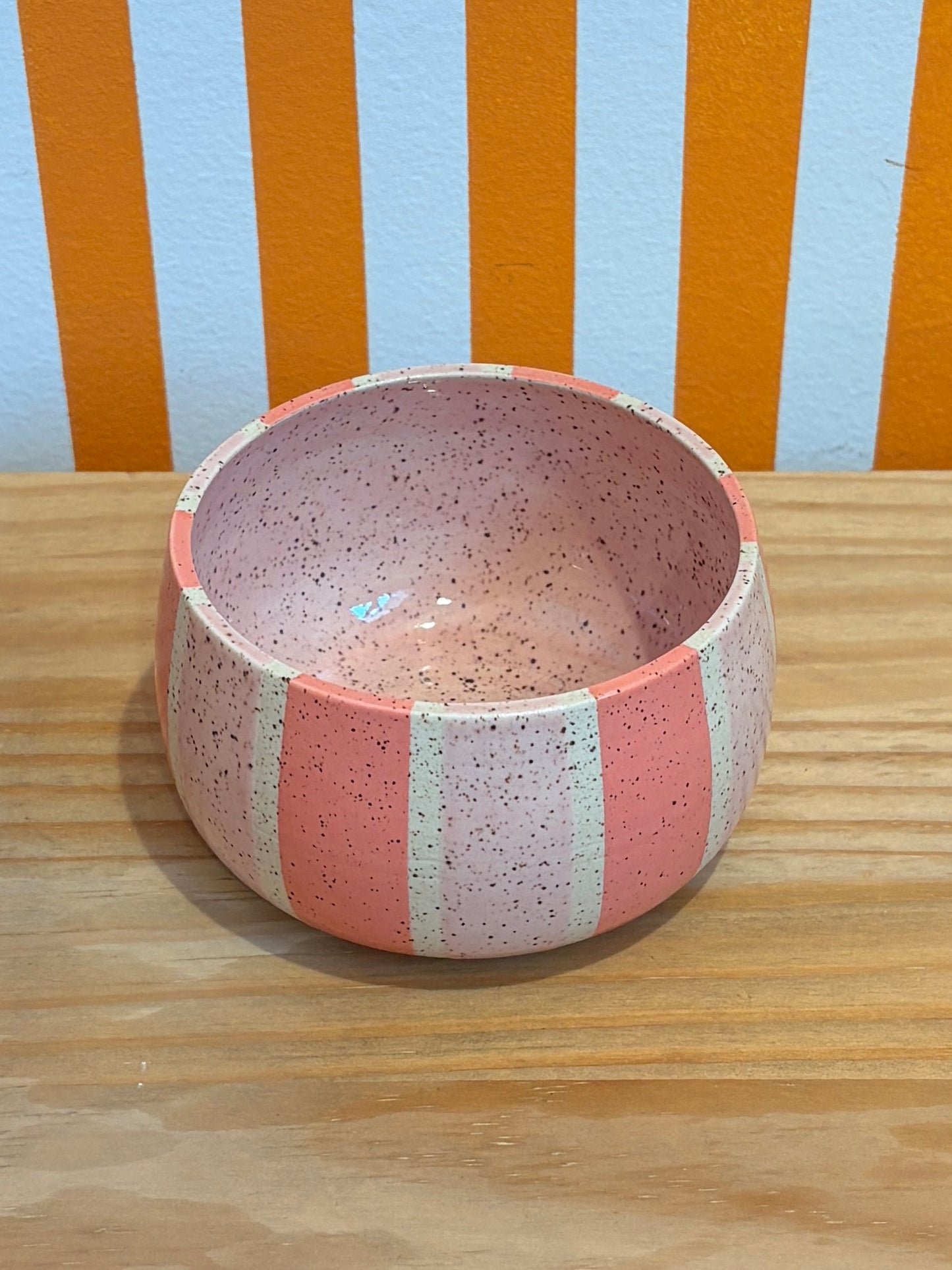 Art Schoool Dropout Bowl | Pink Stripe