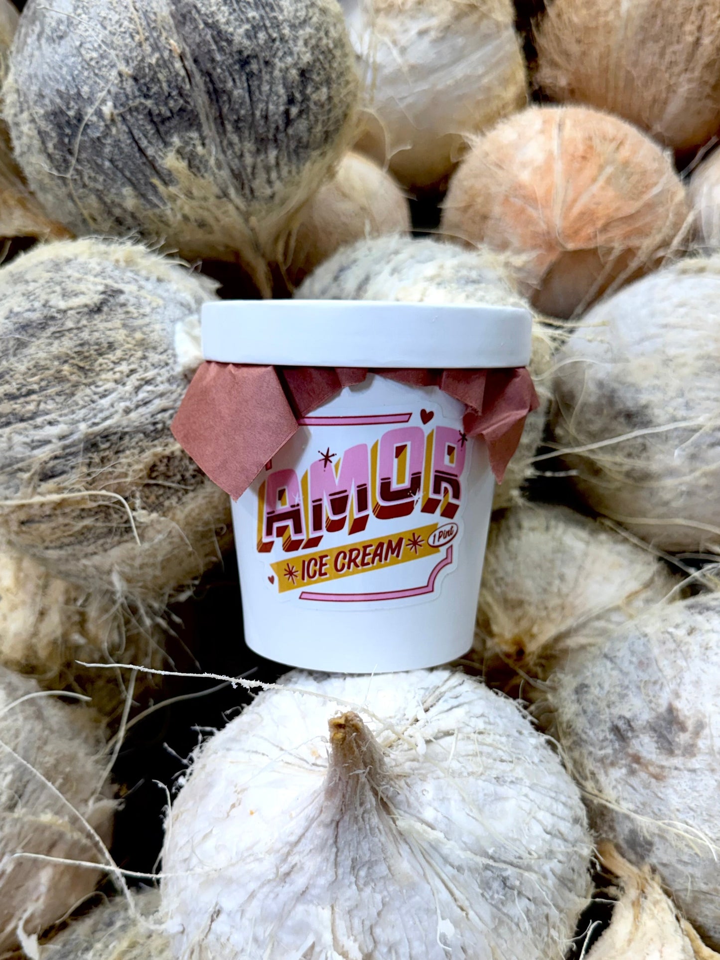 Amor Ice Cream Pint Preorder | Coconut & Mamey | February 28