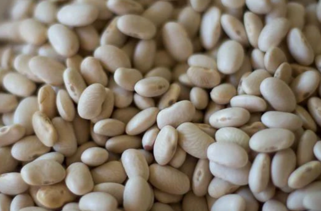 Rancho Gordo Heirloom Alubia Blanca Beans