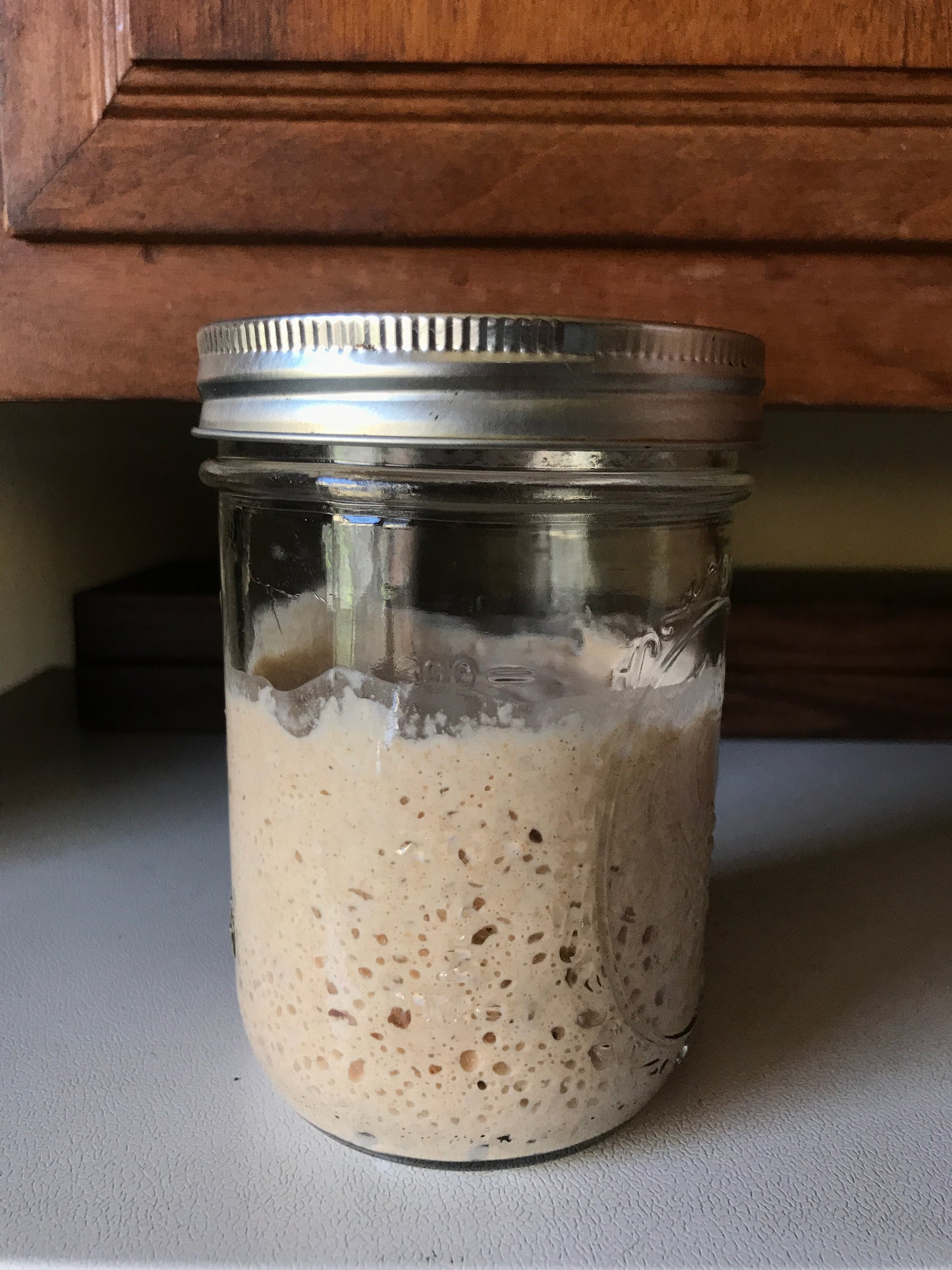 Carynn's Sourdough Starter (Add-On Item Only)