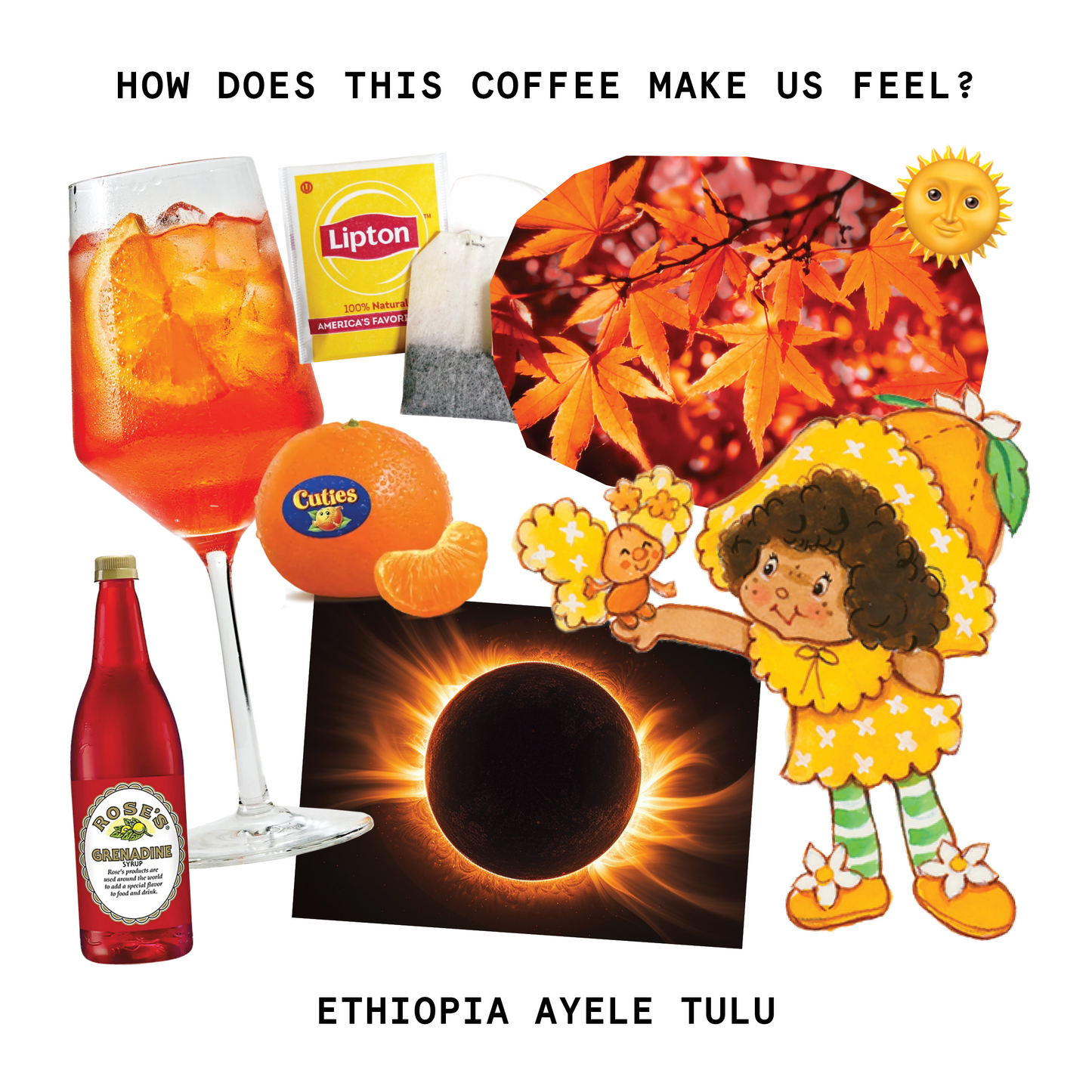 Touchy Coffee Ethiopia Ayele Tulu