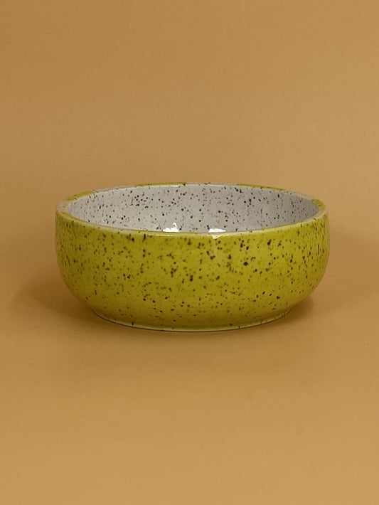 Art Schoool Dropout Small Shallow Bowl | Yellow
