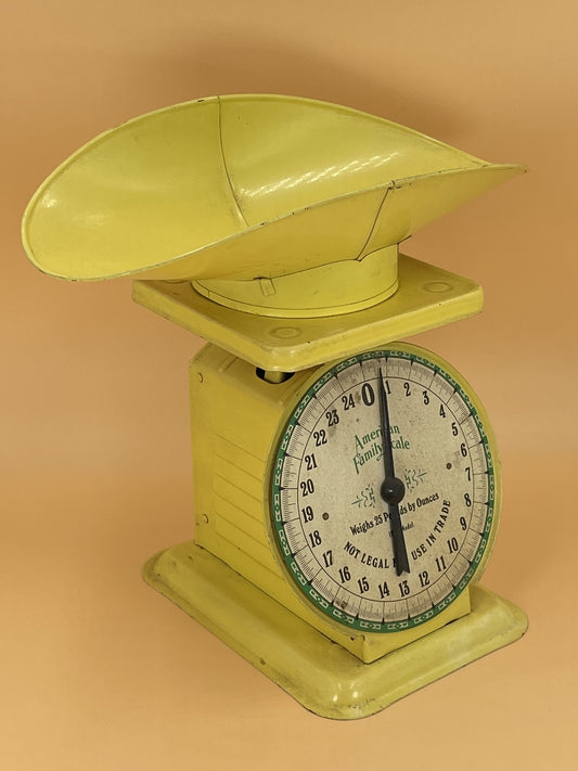 Vintage American Family Food Scale