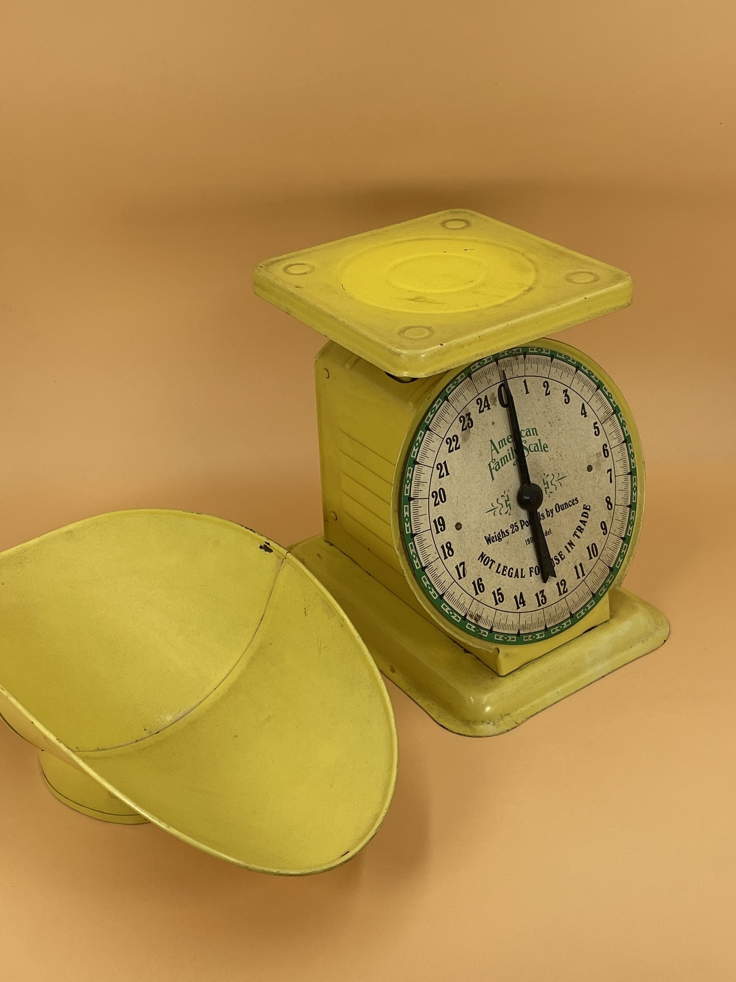 Vintage American Family Food Scale