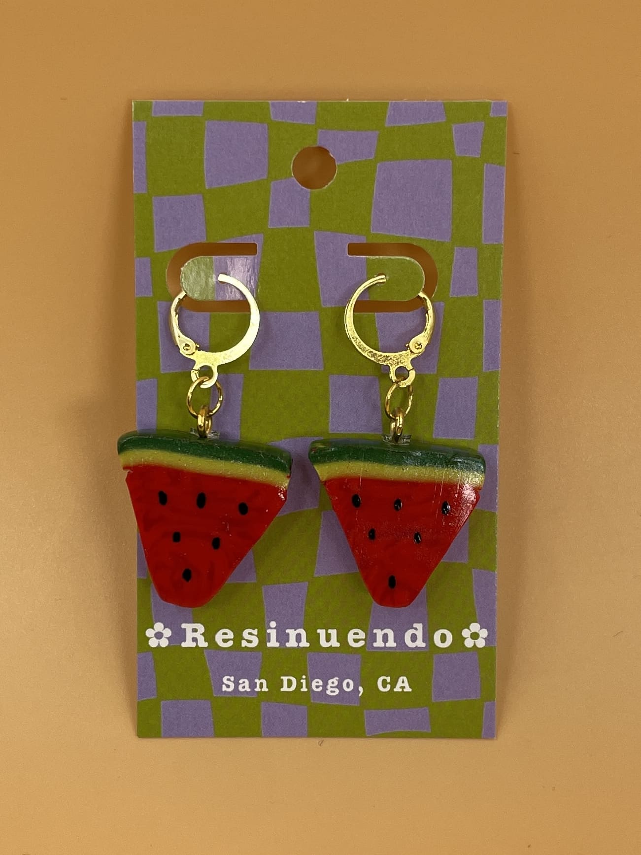 Resinuendo Earring Pair | Watermelons