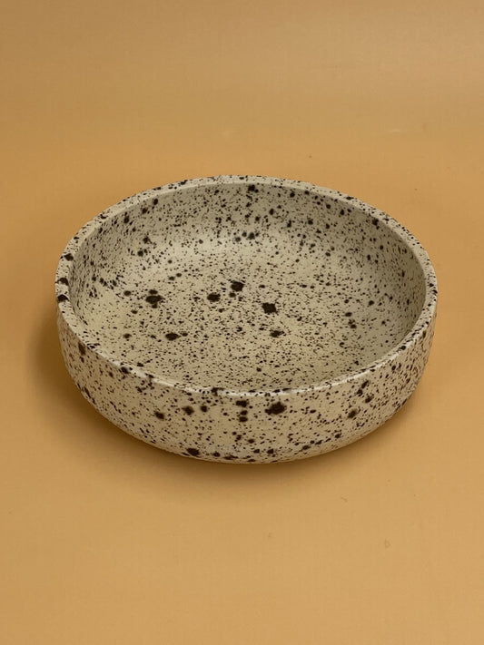 Art Schoool Dropout Small Shallow Bowl | Speckled