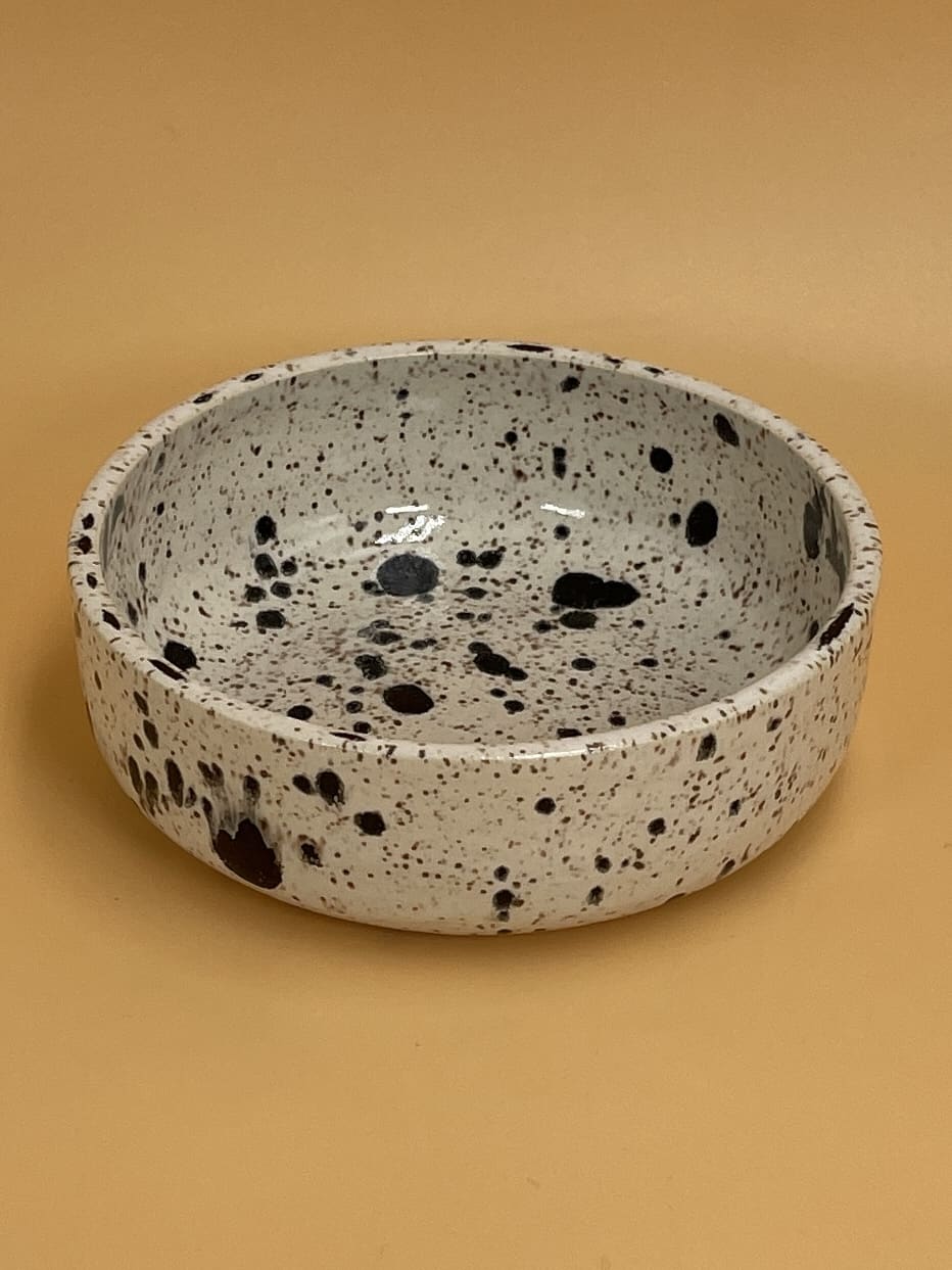 Art Schoool Dropout Small Shallow Bowl | Cookies & Cream