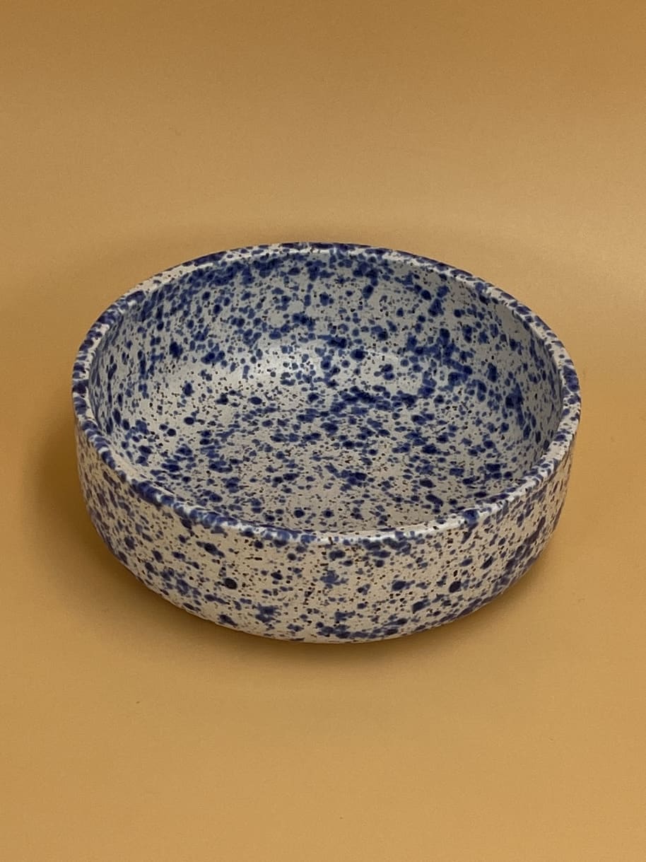 Art Schoool Dropout Small Shallow Bowl | Speckled Blue