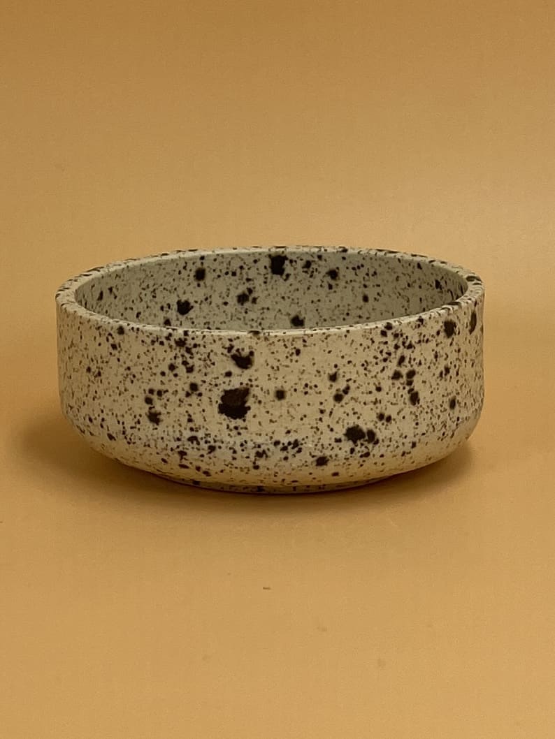 Art Schoool Dropout Small Shallow Bowl | Speckled