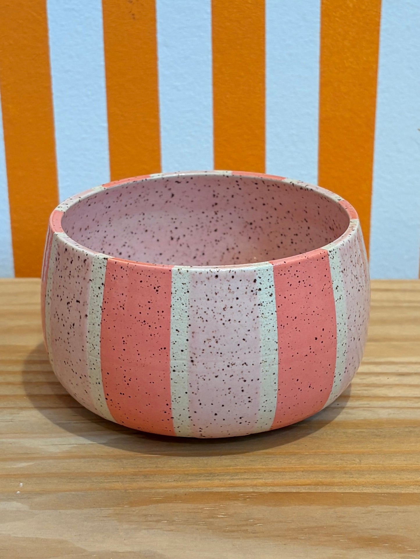 Art Schoool Dropout Bowl | Pink Stripe