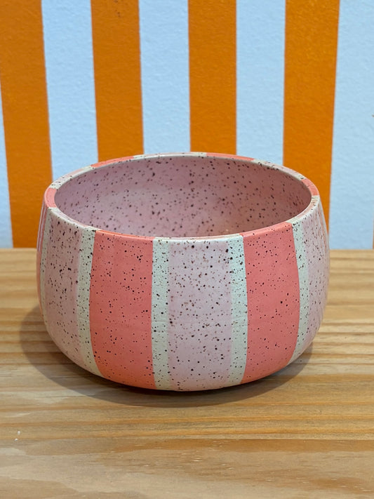 Art Schoool Dropout Bowl | Pink Stripe