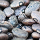 Rancho Gordo Moro Bean
